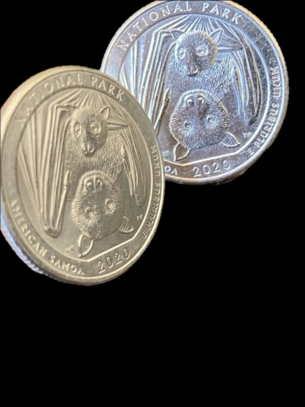 2020 American Samoa Fruit Bat Quarter Cufflinks – Handcrafted Coin Jewellery